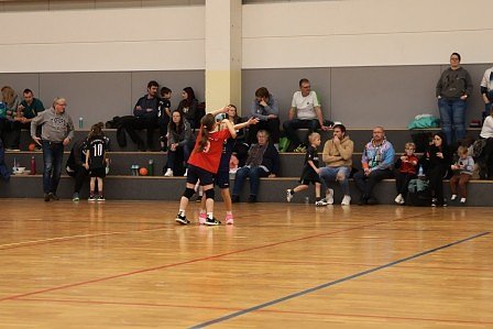 Handballdienst vom Wochenende