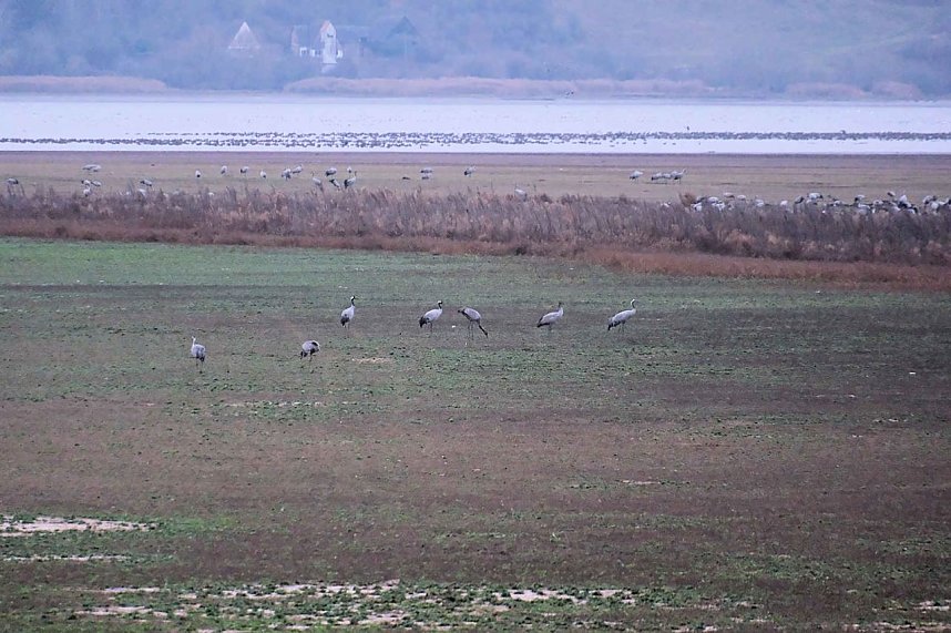Peter Blei am Stausee Kelbra