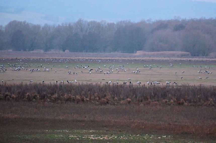 Peter Blei am Stausee Kelbra