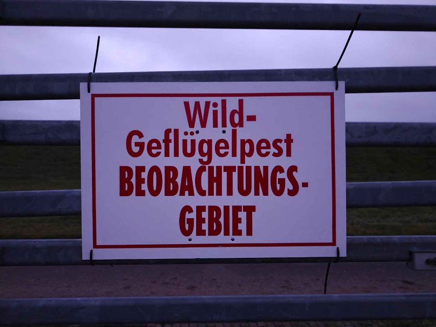 Peter Blei am Stausee Kelbra