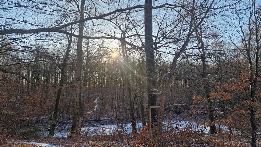 Winterwanderung am Kyffh&auml;user