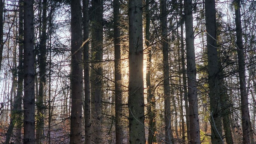 Winterwanderung am Kyffh&auml;user