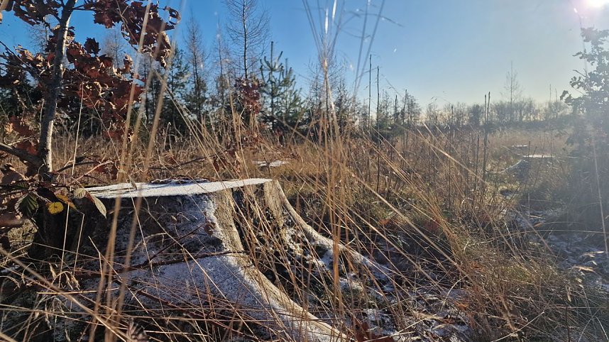 Winterwanderung am Kyffh&auml;user