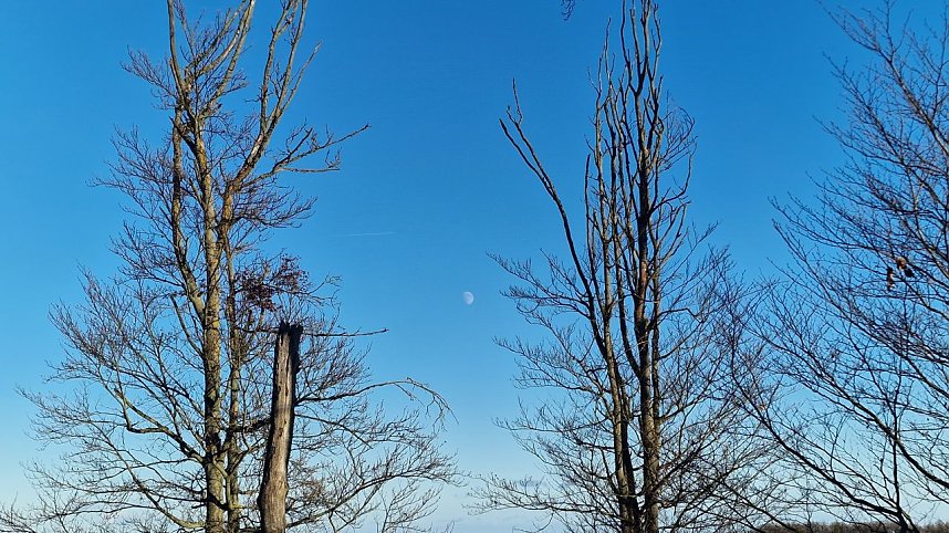 Winterwanderung am Kyffh&auml;user