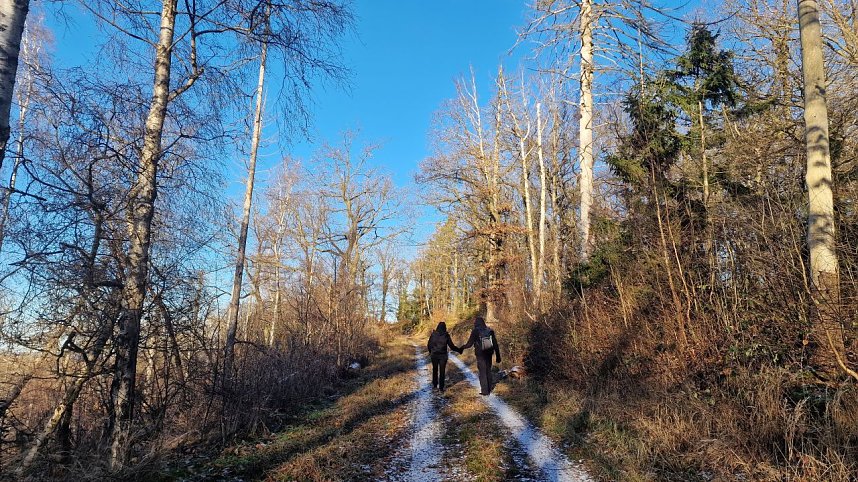 Winterwanderung am Kyffh&auml;user