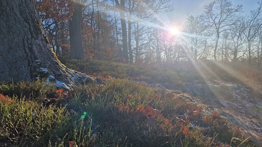 Winterwanderung am Kyffh&auml;user