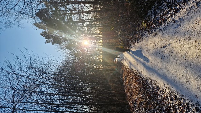 Winterwanderung am Kyffh&auml;user