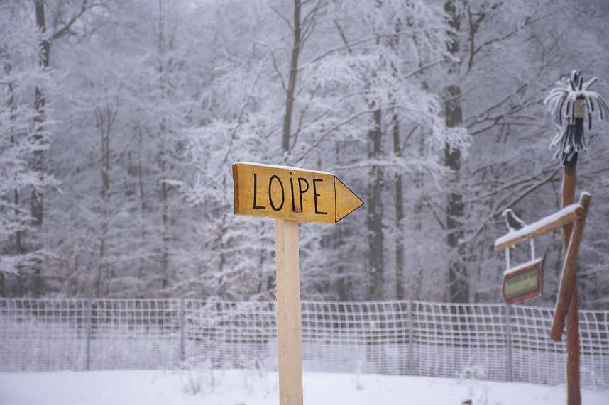 Die Loipe ab Rothes&uuml;tte ist wieder frisch gespurt.