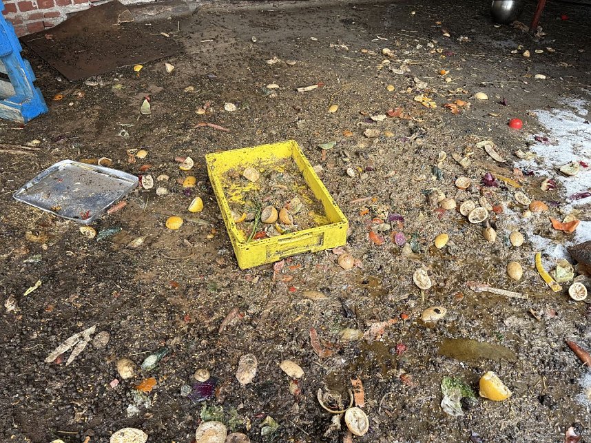 Eine Tierhaltung im Landkreis Nordhausen wurde aufgel&ouml;st.