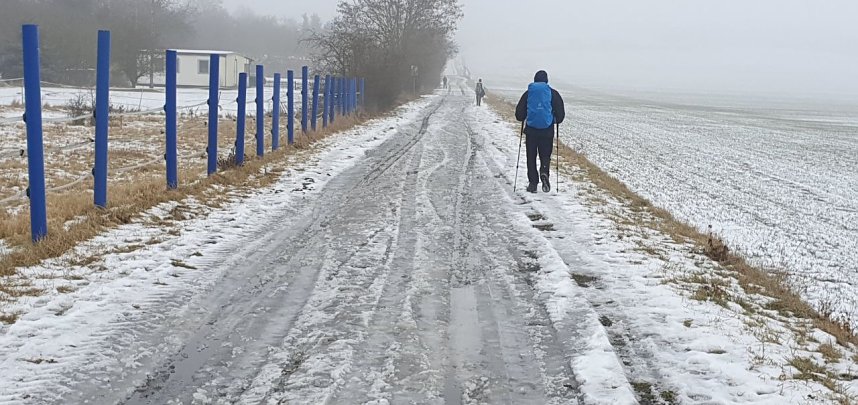 Die Wanderer erreichten den S-Bahnhof in Halle-Neustadt.