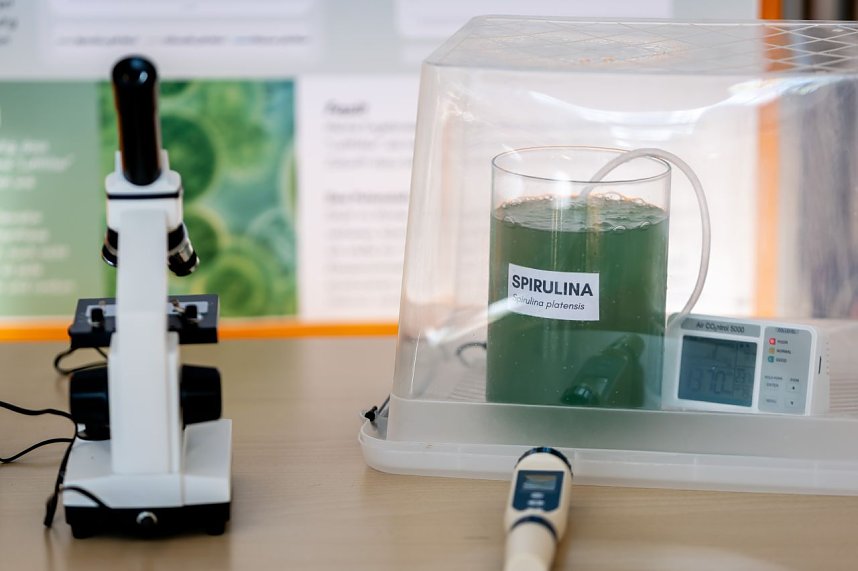 Jugend forscht im Audimax der Hochschule Nordhausen. 