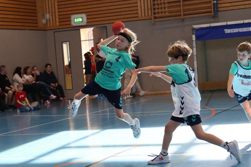 Handball-Ergebnisdienst