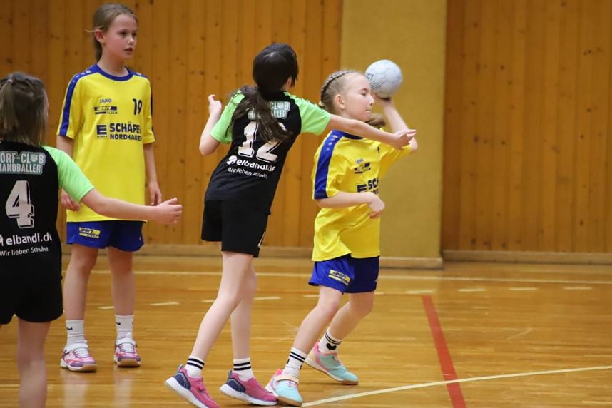 Handball-Ergebnisdienst