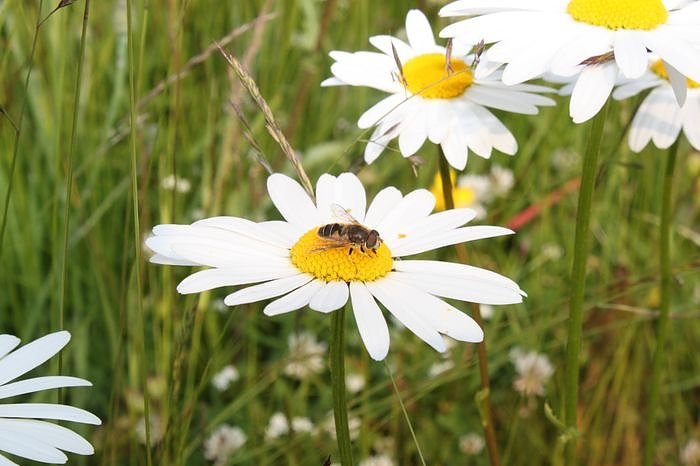 Im Einklang mit der Natur
