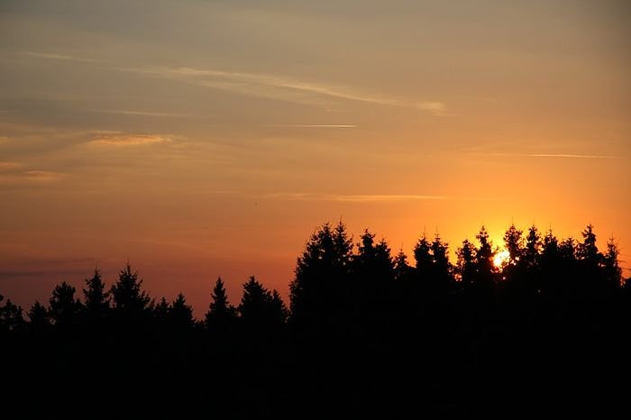 Gel&auml;ndespiel und Wasserschlacht