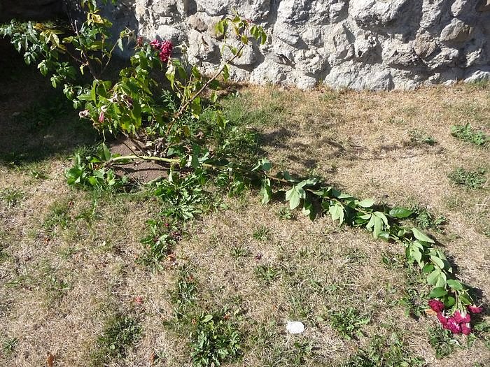 Unterwegs auf dem Berg