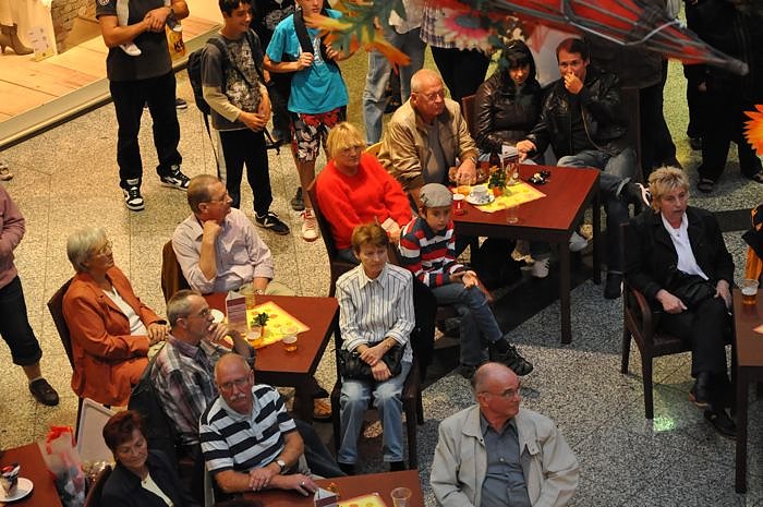 Boxen in der S&uuml;dharzgalerie