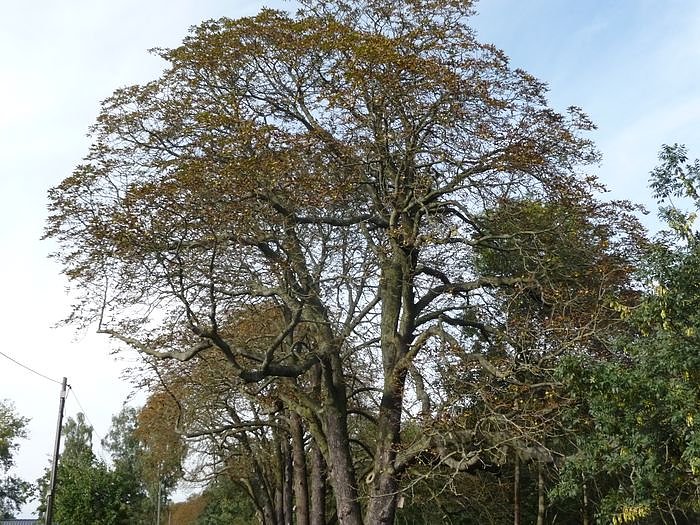 Unterwegs nach Ilfeld