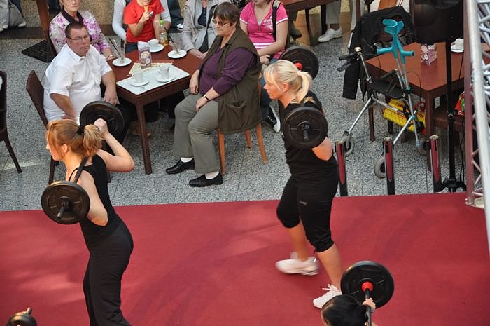 Aktivtag in der S&uuml;dharzgalerie