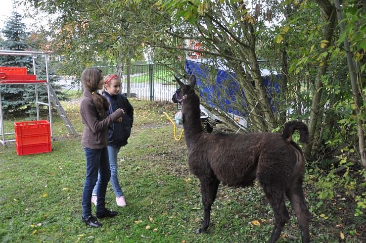 "Vielfalt tut gut" - Stra&szlig;enfest beim Falken