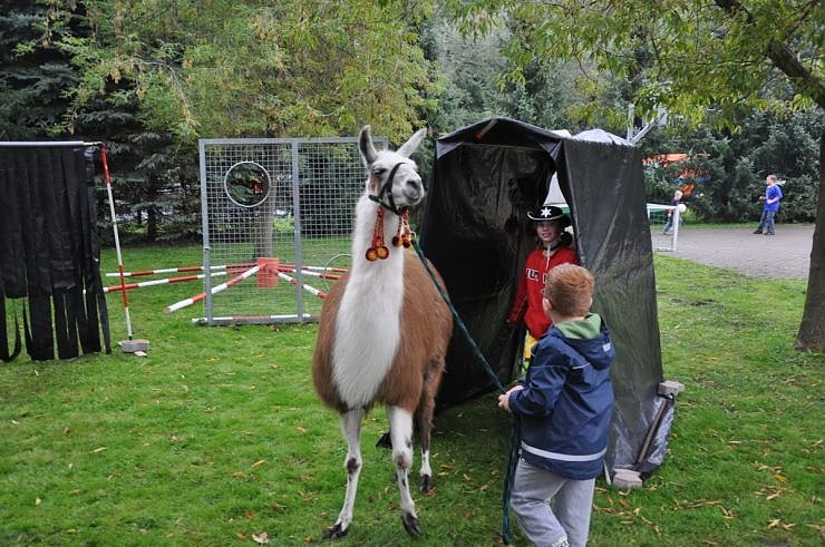"Vielfalt tut gut" - Stra&szlig;enfest beim Falken