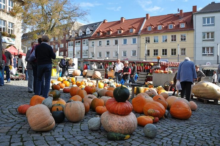 K&uuml;rbismarkt in Nordhausen
