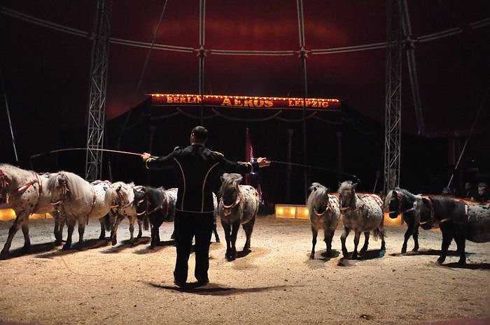 Zirkus Aeros in Nordhausen