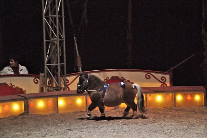 Zirkus Aeros in Nordhausen