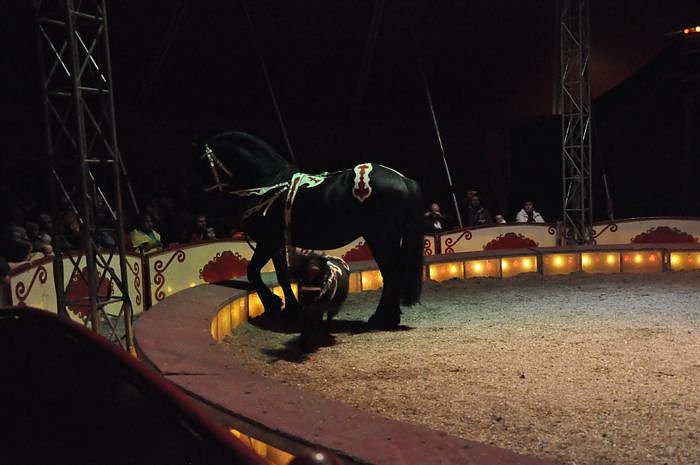 Zirkus Aeros in Nordhausen