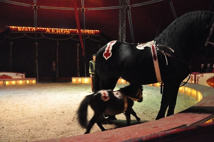 Zirkus Aeros in Nordhausen