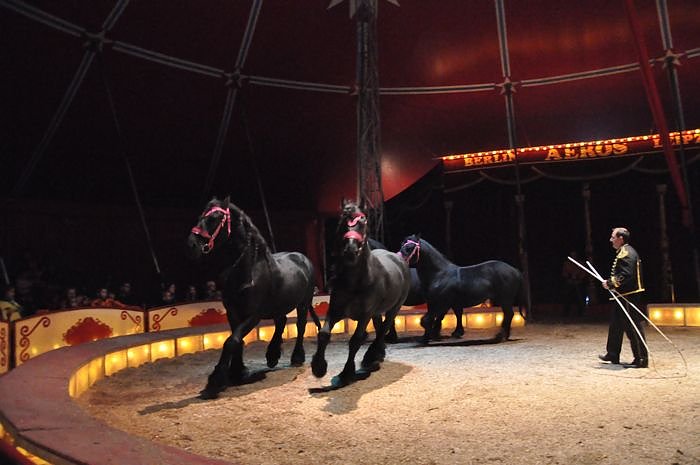 Zirkus Aeros in Nordhausen