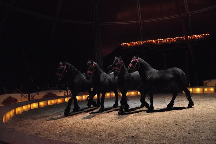 Zirkus Aeros in Nordhausen