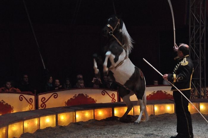 Zirkus Aeros in Nordhausen