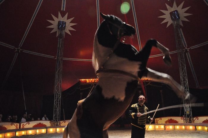 Zirkus Aeros in Nordhausen