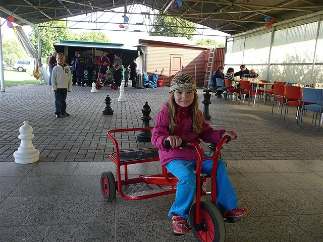 Ein Schachjahr im R&uuml;ckblick