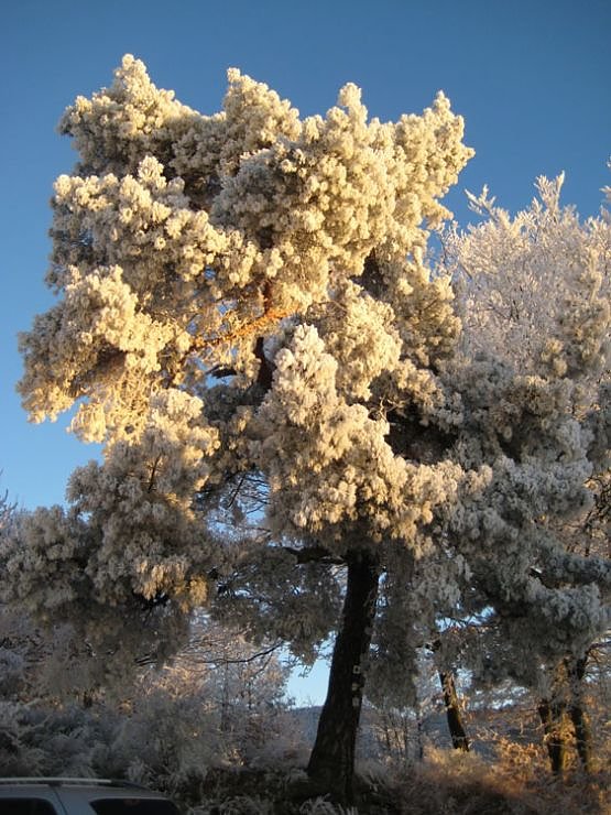 S&uuml;dharz-Impressionen