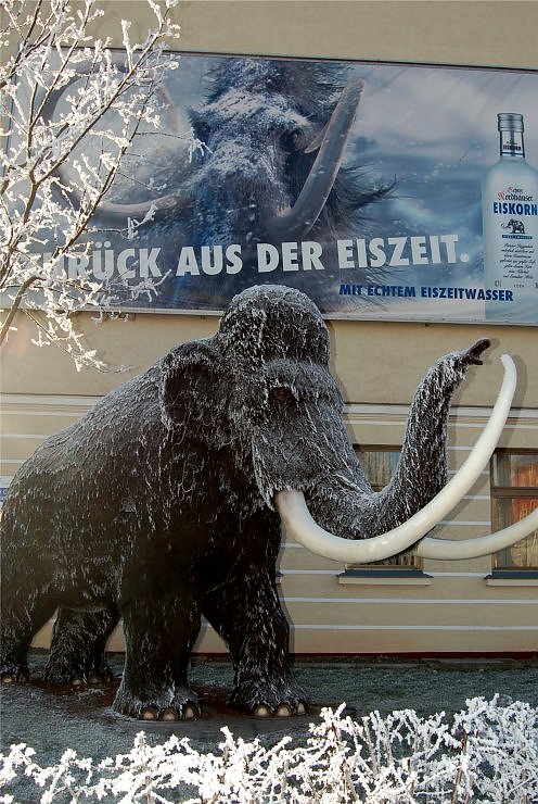 Winterliches Nordhausen