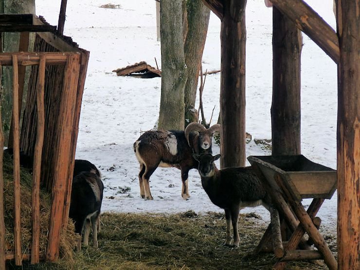 Unterwegs in Benneckenstein