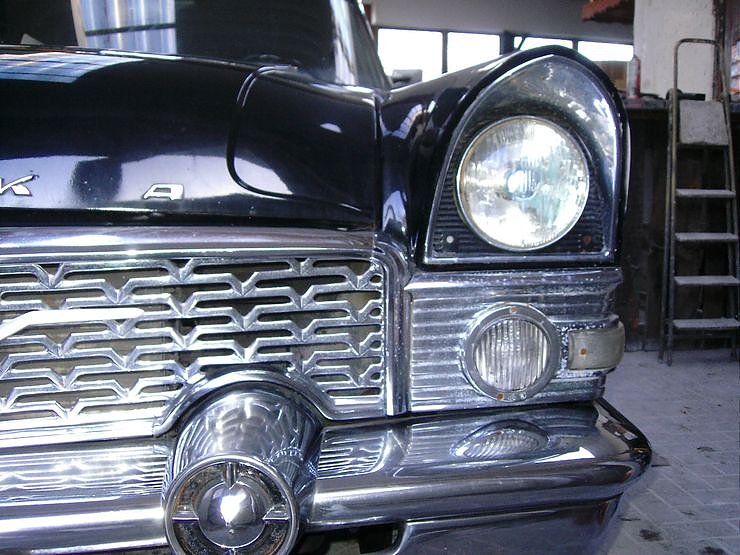 Die M&ouml;we fehlte noch