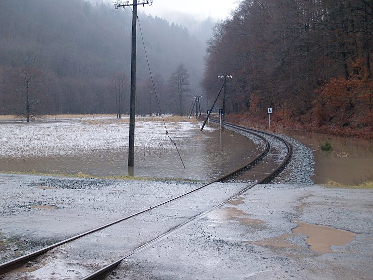 HSB Gleise am Netzkater
